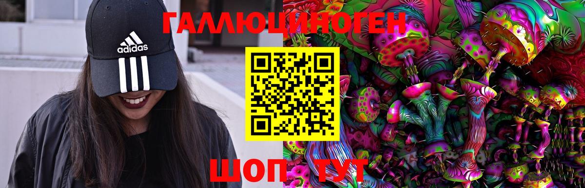 Галлюциногенные грибы GOLDEN TEACHER  Вход с VPN  Азов 